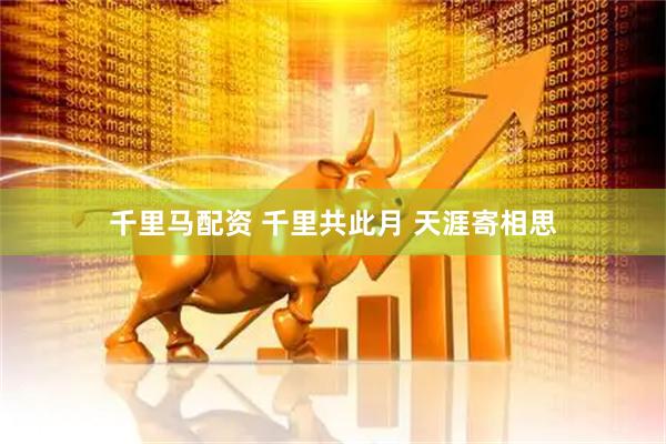 千里马配资 千里共此月 天涯寄相思