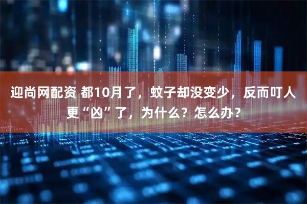 迎尚网配资 都10月了，蚊子却没变少，反而叮人更“凶”了，为什么？怎么办？