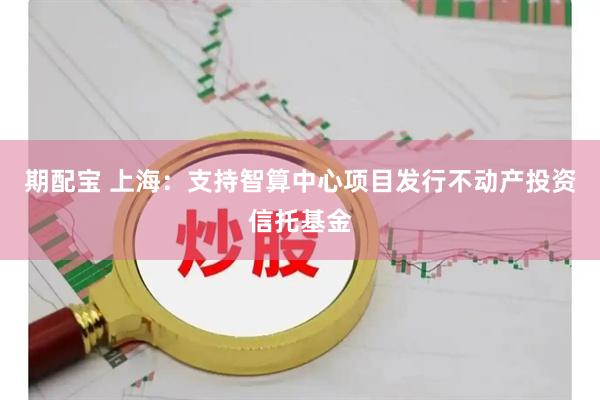 期配宝 上海:支持智算中心项目发行不动产投资信托基金
